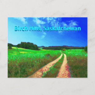 Carte postale Birch Hills SK - Country road