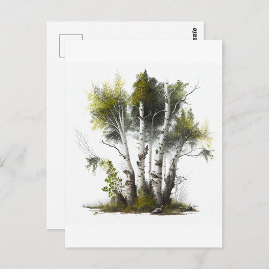 Carte Postale Birch Trees, Les Birches Irlande du Nord (Devant / Derrière)