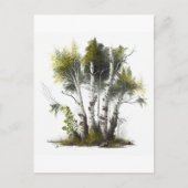 Carte Postale Birch Trees, Les Birches Irlande du Nord (Devant)
