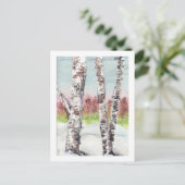 Carte postale Birch Woods (Debout devant)