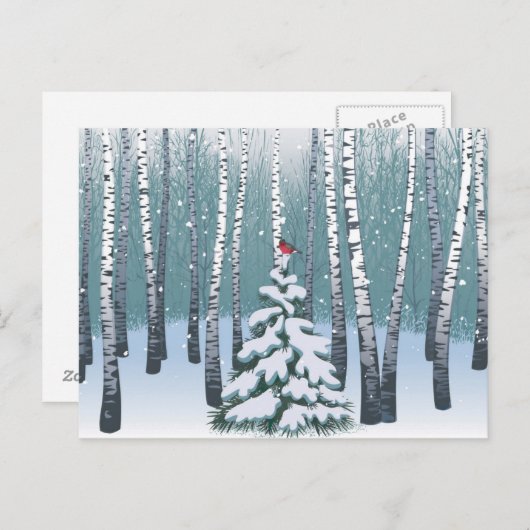 Carte Postale Birches Dans La Forêt D'Hiver (Devant / Derrière)