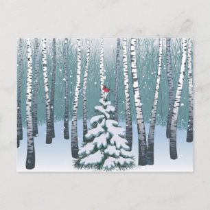 Carte Postale Birches Dans La Forêt D'Hiver