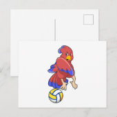 Carte Postale Bird at Volleyball Sports (Devant / Derrière)