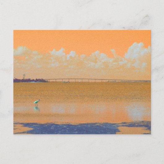 Carte Postale Bird Bridge Orange Blue River Floride (Devant)