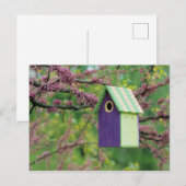 Carte Postale Bird House (Devant / Derrière)