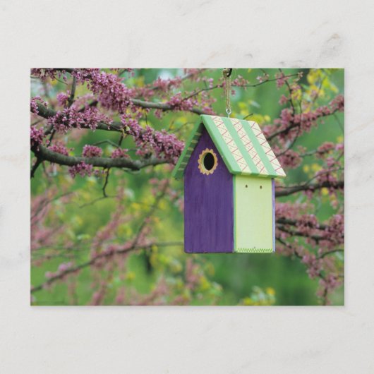 Carte Postale Bird House (Devant)