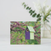 Carte Postale Bird House (Debout devant)