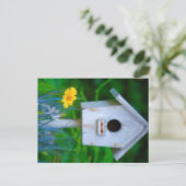 Carte Postale Bird House (Debout devant)