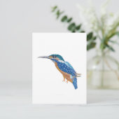 Carte Postale Bird KingFisher (Debout devant)