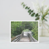 Carte postale Bird on Boardwalk (Debout devant)