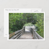 Carte postale Bird on Boardwalk (Devant / Derrière)