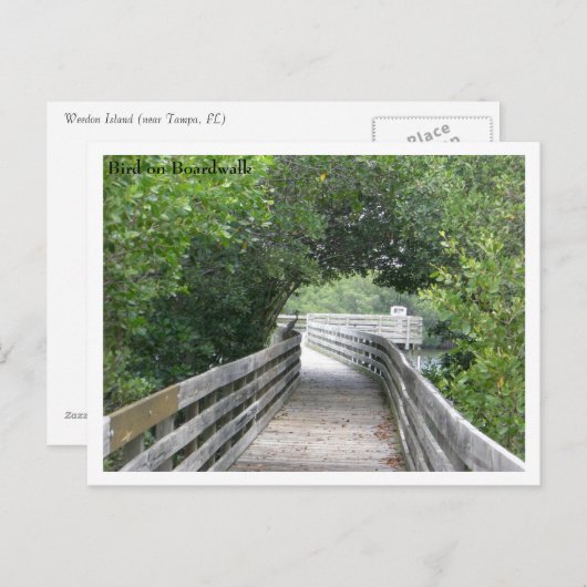 Carte postale Bird on Boardwalk (Devant / Derrière)