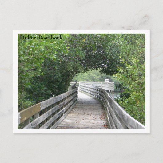 Carte postale Bird on Boardwalk (Devant)
