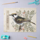 Carte Postale Bird Set 2 of 4 (Paris Roos Bird) Tissuepapier (Craft)