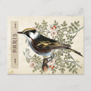 Carte Postale Bird Set 2 of 4 (Paris Rose Bird)