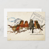 Carte Postale Bird Set 3 of 4 (European Robins) Briefkaart (Voorkant / Achterkant)