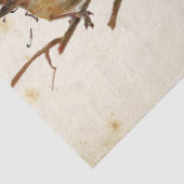 Carte Postale Bird Set 3 of 4 (European Robins) Tissuepapier (Detail)