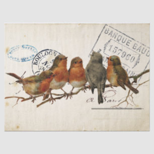 Carte Postale Bird Set 3 of 4 (European Robins) Tissuepapier