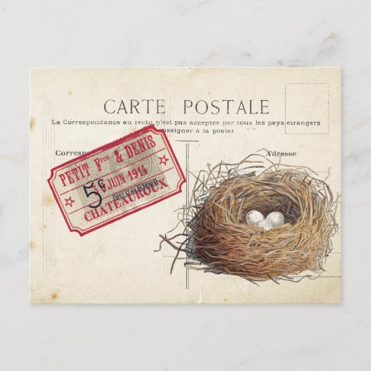 Carte Postale Bird Set 4 de 4 (Billet de nid d'ois (Devant)