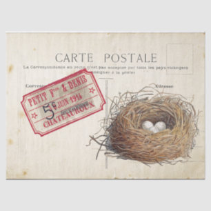 Carte Postale Bird Set 4 of 4 (Bird's Nest Ticket) Tissuepapier
