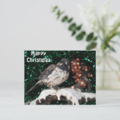 Carte postale Bird Winter Scène (Debout devant)