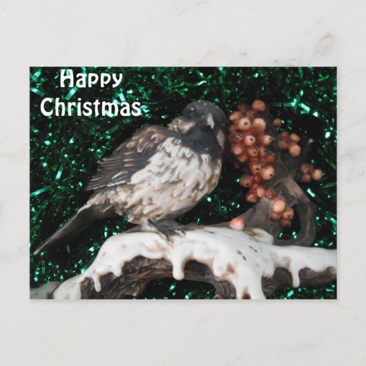 Carte postale Bird Winter Scène (Devant)