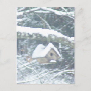 Carte Postale birdhouse dans la neige