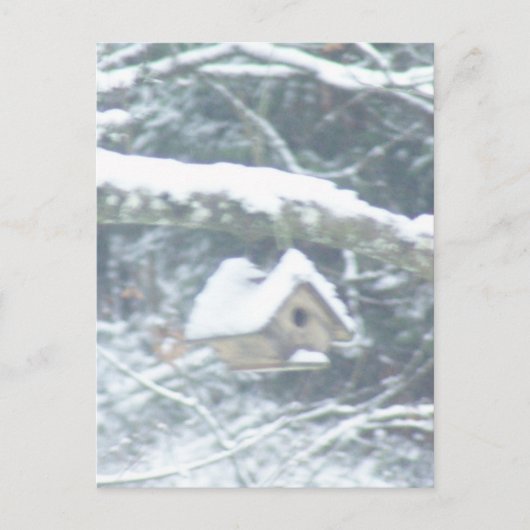 Carte Postale birdhouse dans la neige (Devant)