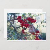 Carte Postale Birdhouse et baies rouges (Devant / Derrière)