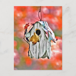 Carte Postale Birdhouse Et Wren