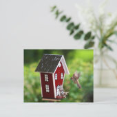 Carte Postale BirdHouse/Fågelhus (Debout devant)