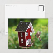 Carte Postale BirdHouse/Fågelhus (Devant / Derrière)