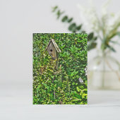 Carte Postale Birdhouse in Garden (Debout devant)