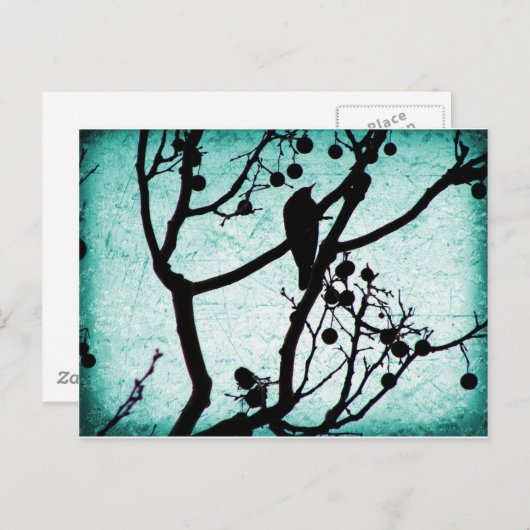 Carte Postale Birdie (Devant / Derrière)