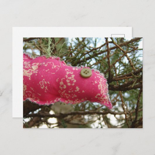 Carte Postale Birdie rose (Devant / Derrière)