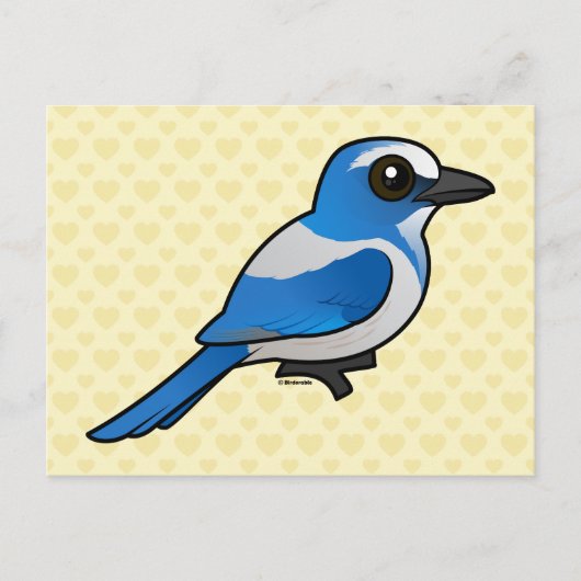 Carte Postale Birdorable Florida Scrub-Jay (Devant)