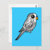 Carte Postale Birdorable Grey Budgie (Devant / Derrière)