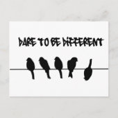 Carte Postale Birds on a wire - dare to be different (Devant)