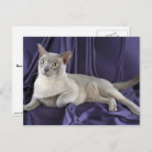 Carte Postale birman, lilas (Devant / Derrière)