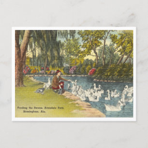 Carte Postale Birmingham Alabama Vintage Avondale Park