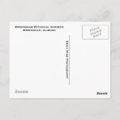 Carte Postale Birmingham Lily Pond (Dos)