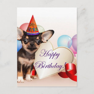 Carte Postale Birthday Chihuahua dog