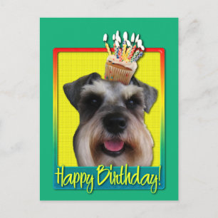 Carte Postale Birthday Cupcake - Schnauzer