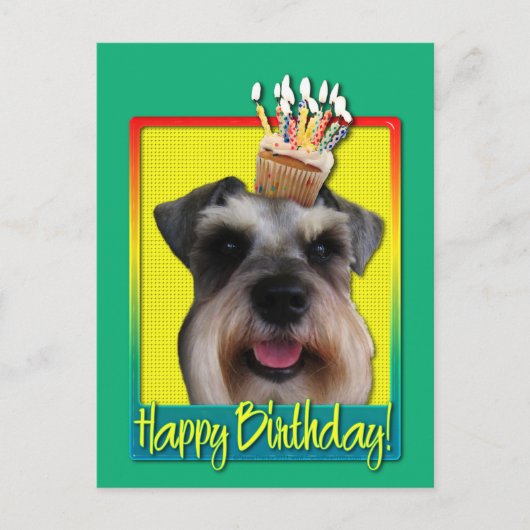 Carte Postale Birthday Cupcake - Schnauzer (Devant)
