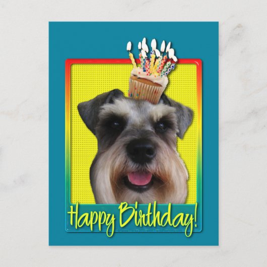 Carte Postale Birthday Cupcake - Schnauzer (Devant)