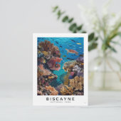 Carte Postale Biscayne National Park Coral (Debout devant)