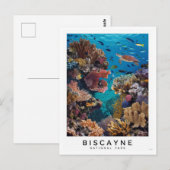 Carte Postale Biscayne National Park Coral (Devant / Derrière)