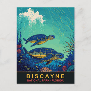 Carte Postale Biscayne, Tortues Sous-Marines, Floride, Voyage