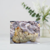 Carte Postale Biscuits et gravures (Debout devant)