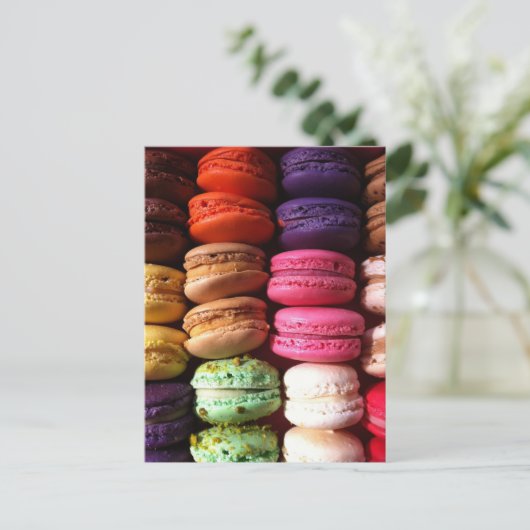 Carte Postale biscuits macaron (Debout devant)